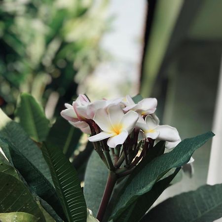 El Homestay Bali Nusa Dua  Exterior foto