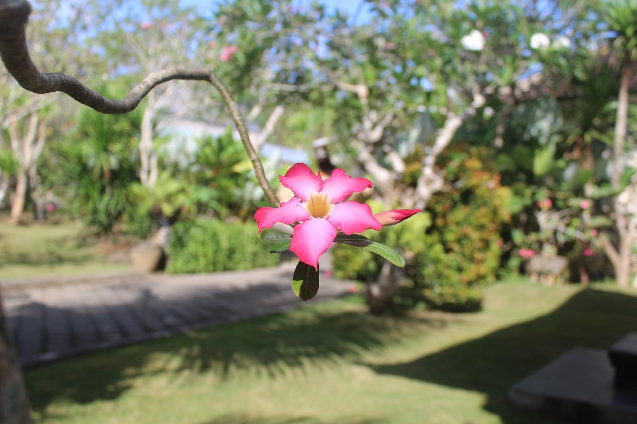 El Homestay Bali Nusa Dua  Exterior foto
