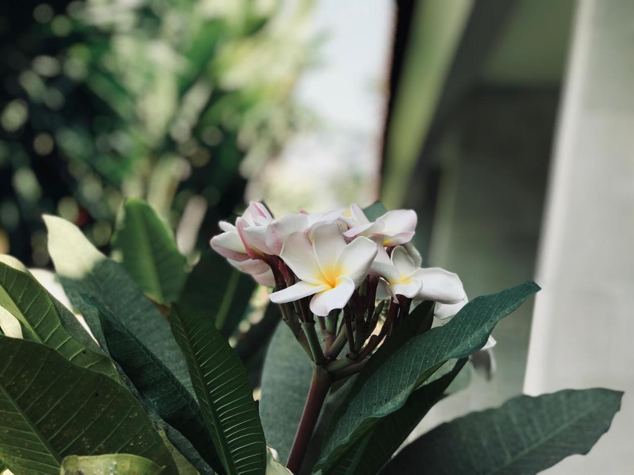El Homestay Bali Nusa Dua  Exterior foto